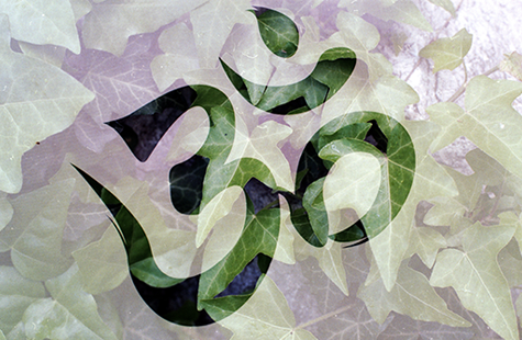 Le coeur ouvert & Om Namah Shivaya